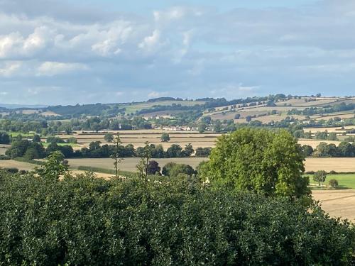 Jasmine Cottage in Gilling West