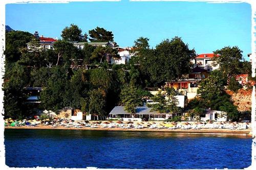 المنطقة المحيطة, Hotel Mola in West Marmara Region