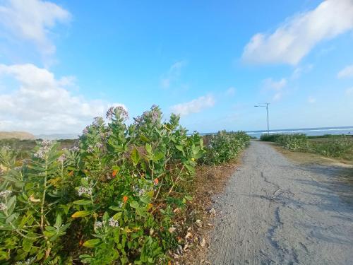 torok ocean homestay torok ocean homestay