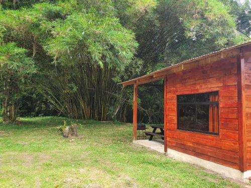 Into the Greens in Cartago