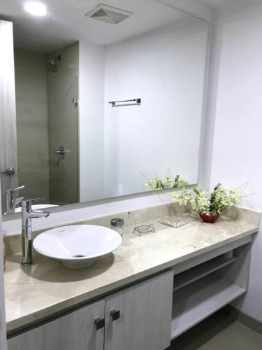 One-Bedroom Apartment image 6