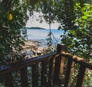 Tree House Bungalows Over view