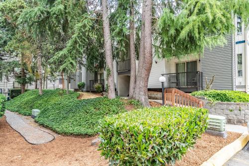 Beautiful and cozy one bedroom apartment -WiFi, BBQ, Patio, Dog park, close to Greenlake and Northgate