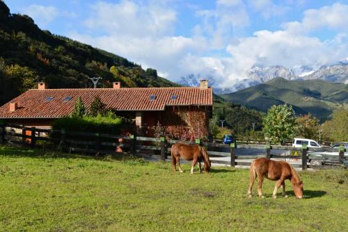 Hotel-Posada La Casa de Frama