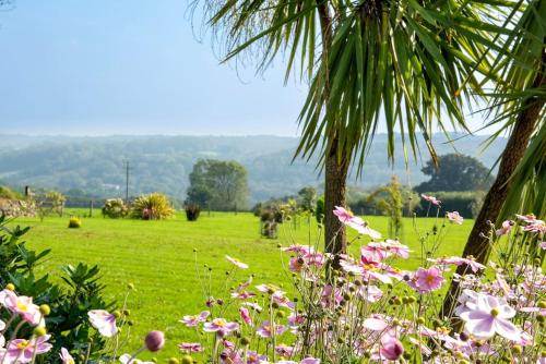 Luxury Country Cottage, near Tavistock.