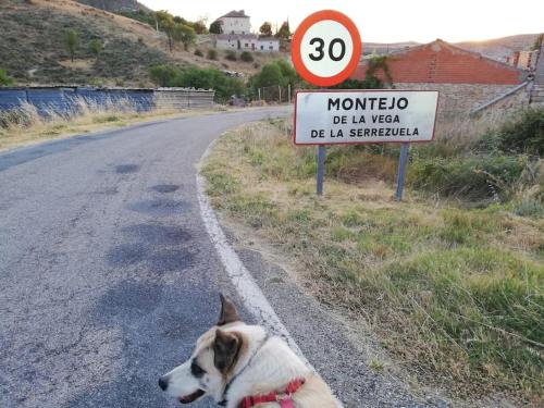 MiniCasa con vistas a las Hoces del río Riaza.