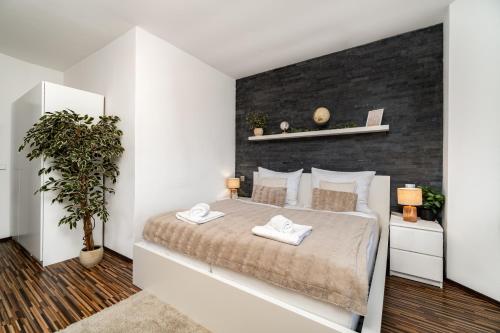 Beautiful Apartments With Parking In a Quiet Location photo 2