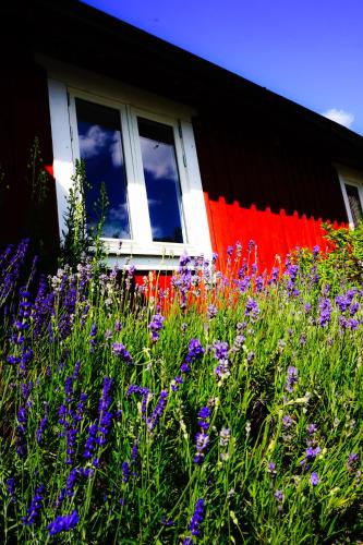 Vår lilla Päronträdgård