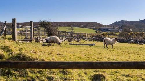 Easter Cabin, Moelfre (fotografie 9)