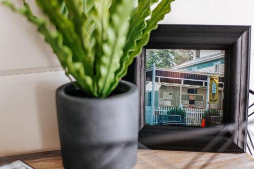 Downtown Tiny Home near Shenandoah National Park