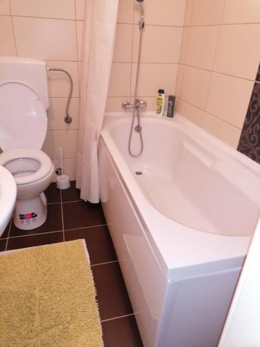 Studio Apartment image 4