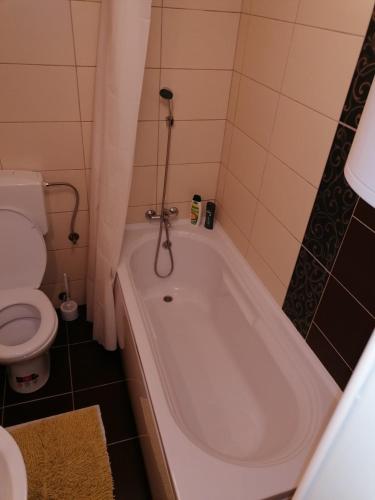 Studio Apartment image 3