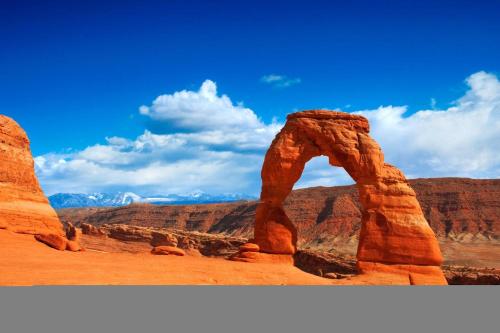 Sleeps 24 Pet Friendly 96 Hour Cancellation Policy Free Bikes - Entrada 590 and 594 - image 9