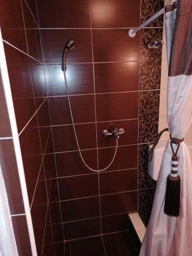 Studio Apartment image 5