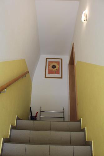 dresdnerferienwohnung - apartment am großen garten - image 12