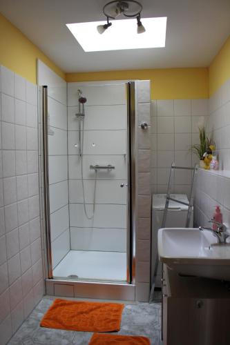 dresdnerferienwohnung - apartment am großen garten - image 8