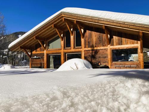 Chalet Alpen 10789390 Praz sur Arly