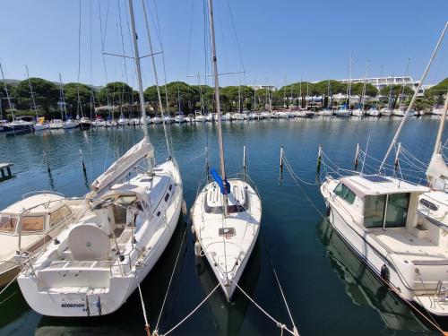 Très belle marina plein sud - Location saisonnière - Le Grau-du-Roi