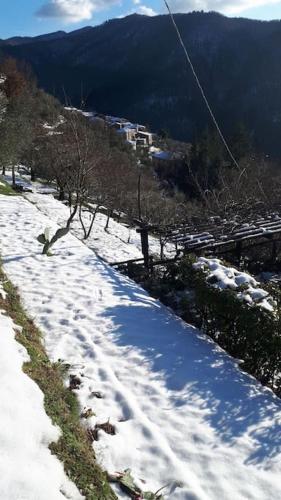 Piscina esclusiva, giardino, vista straordinaria