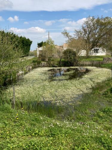 Les Pensions du Joslin in Bouin
