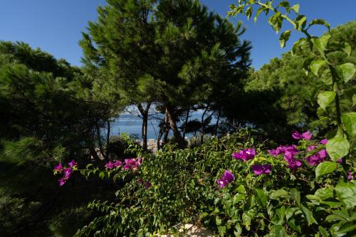 493330580 Praia Art Resort - Small Luxury Hotels of the world