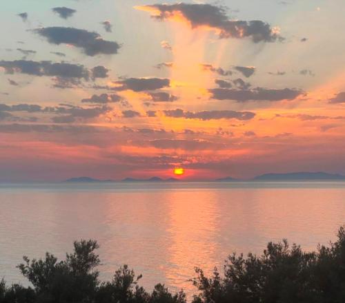 ALBA stupendo appartamento in villa fronte Mare - Golfo dell'Asinara - Internet Free