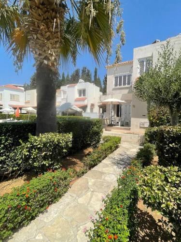 Nerina, Paphos (photo 6)