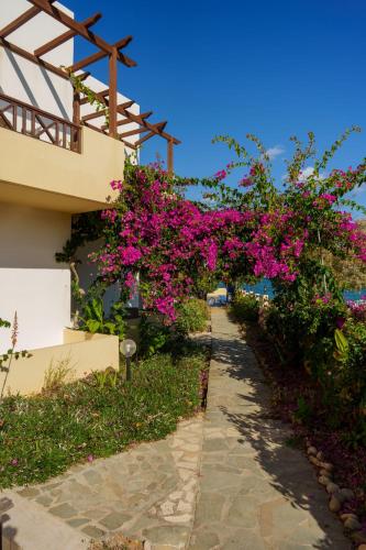 Exterior view, Dedalos Beach Hotel in Arkadi