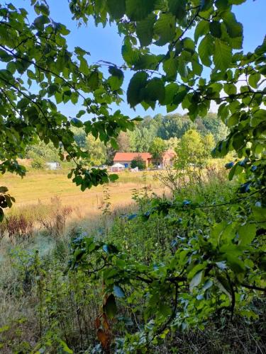 Chambre spacieuse avec vue sur clocher