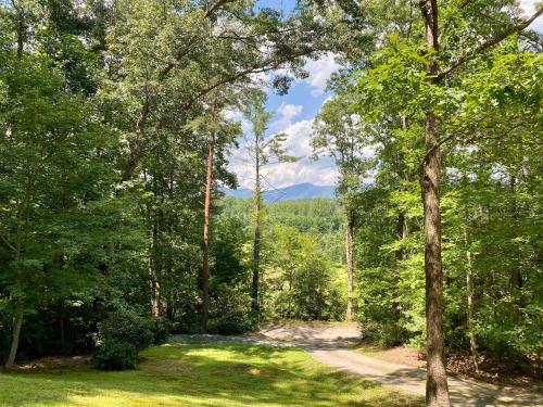 New Listing! Mountainview Escape