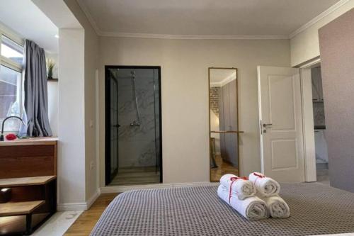 Central Apartment M. Shyri str.1, Tirana (photo 5)