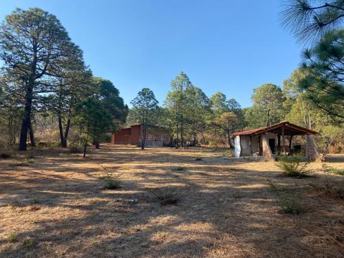 Cabaña La Bombilla en Tapalpa