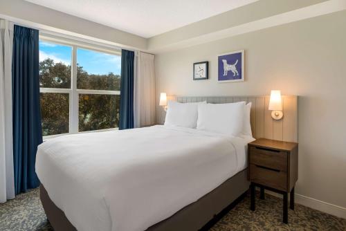 1 king bed