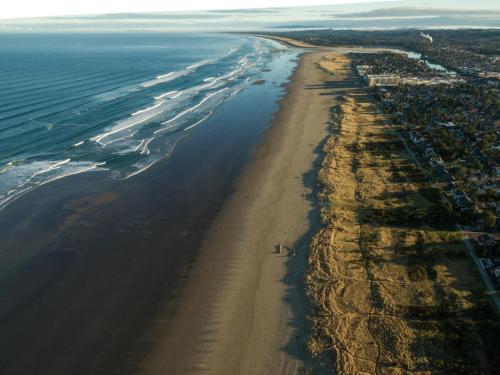 Necanicum West - image 2