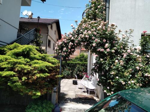 Vila Selma - image 12