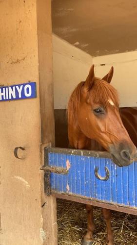 Résidence Palmariva Aglou Résidence Palmariva Aglou