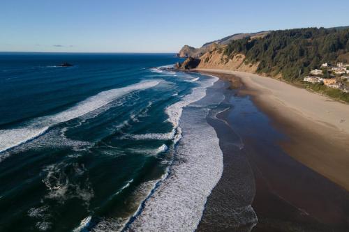 Sea Perch - image 10