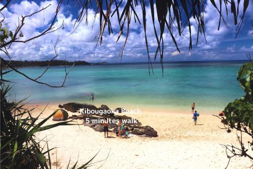 にらい恩納　杉の木