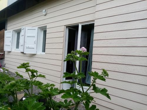 studio meublé près de la mare à joncs - Location saisonnière - Cilaos