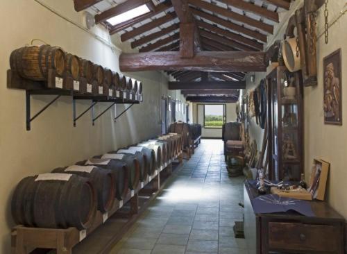 B&B Acetaia Il Mulino Di Navicello - Accommodation - Modena