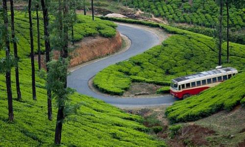 Green and Green, Vagamon