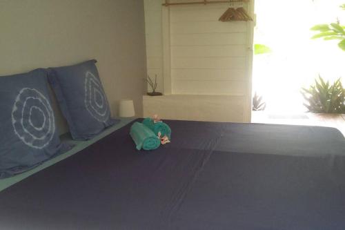 LE ZAYENN gite cote canne in Grand-Bourg