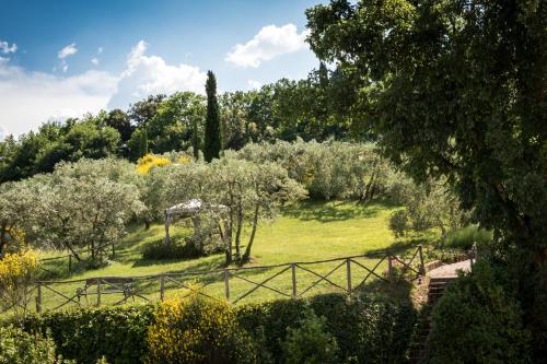 Il Borghetto Tuscan Holidays