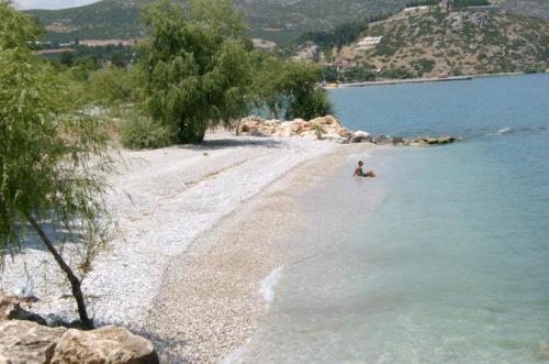 Programlehetőségek, Sehsuvar Peace Pension in Egridir