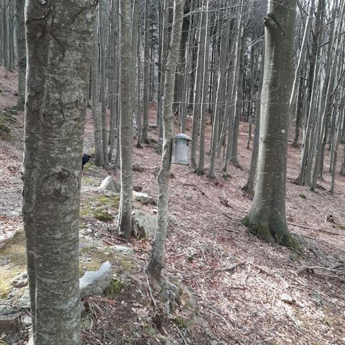 Rilassati al Corno alle Scale in Lizzano in Belvedere