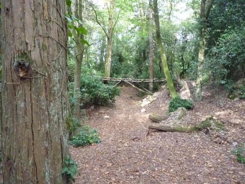 Pied de Mouton in Maure-de-Bretagne