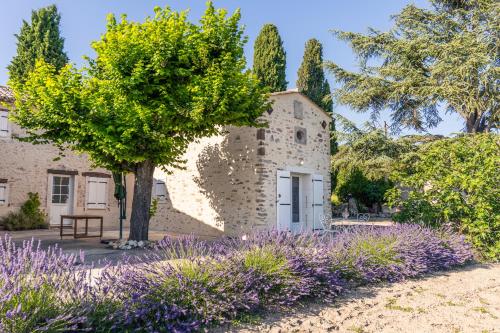 Gîte Le petit chez nous pour 2 personnes - Location saisonnière - Vaison-la-Romaine