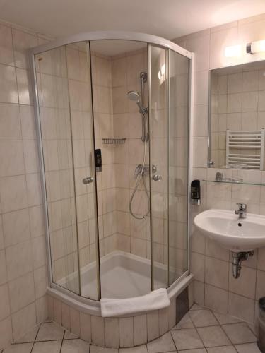 Pension Ani-Falstaff - image 5