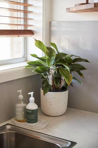 Central Treetop Overlook with Parking in Windsor