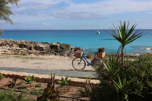 Apartamentos Es Caló - image 14